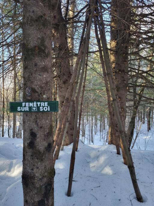 Вілла La Rikiki Du Petit Ruisseau Mandeville Екстер'єр фото