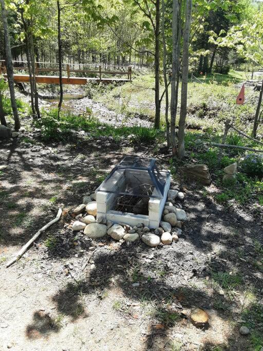 Вілла La Rikiki Du Petit Ruisseau Mandeville Екстер'єр фото