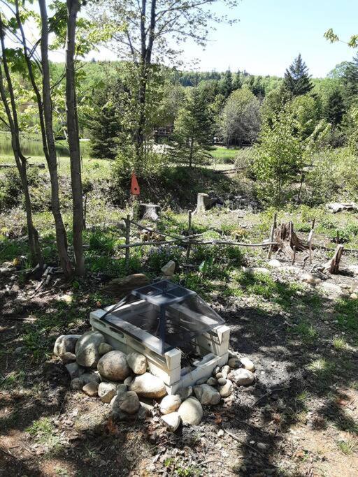Вілла La Rikiki Du Petit Ruisseau Mandeville Екстер'єр фото